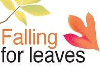 Falling For Leaves: Fun Projects To Do